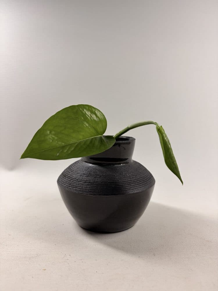 Black stoneware vase